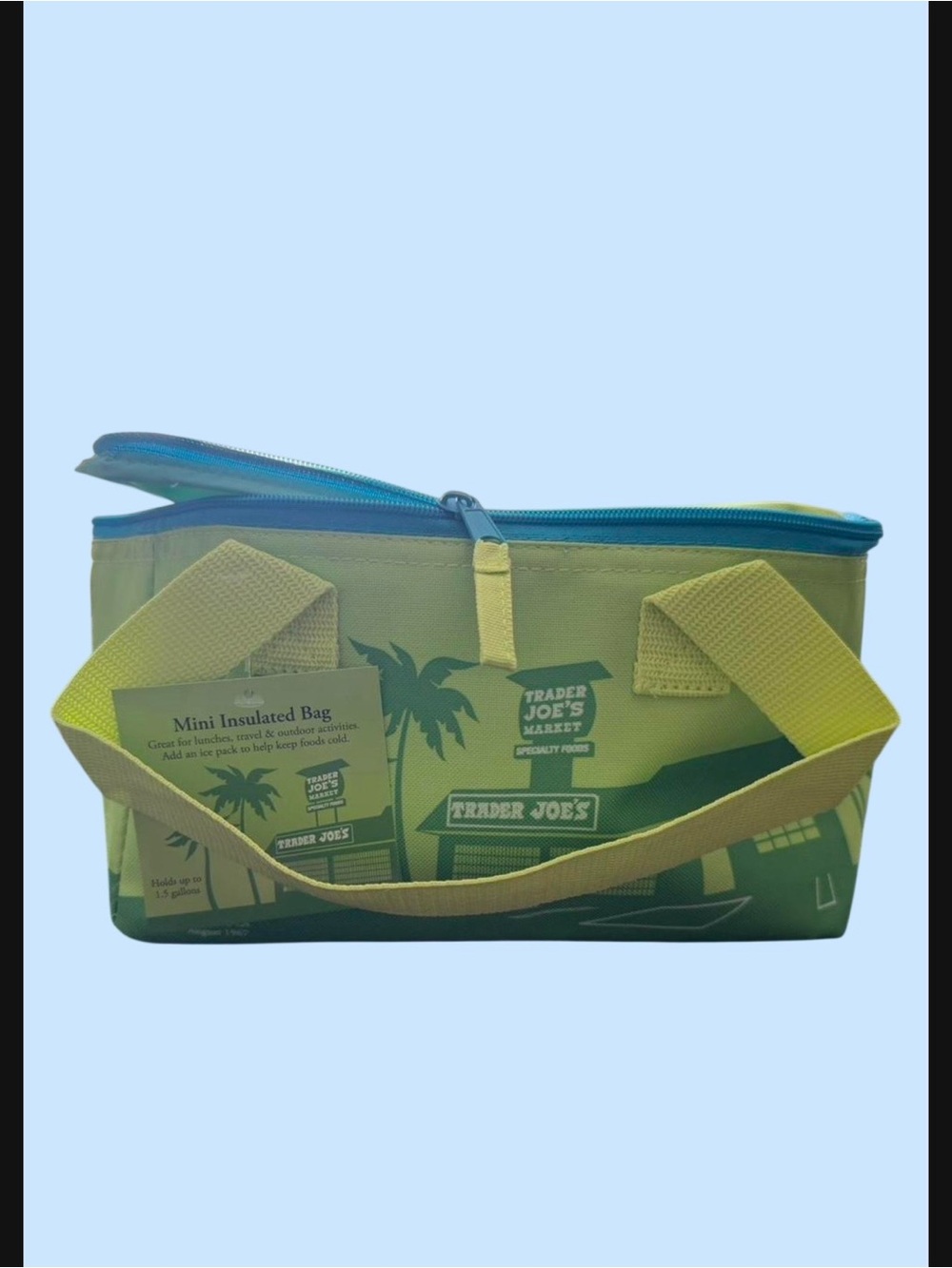 Trader Joe's Mini Insulated Tote - Blue & Green